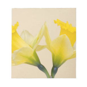 Gula narcisser anteckningsblock