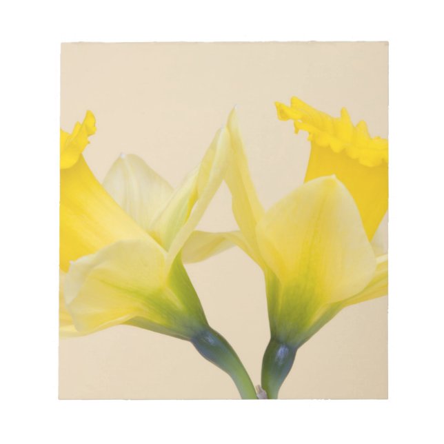 Gula narcisser anteckningsblock (Framsida)