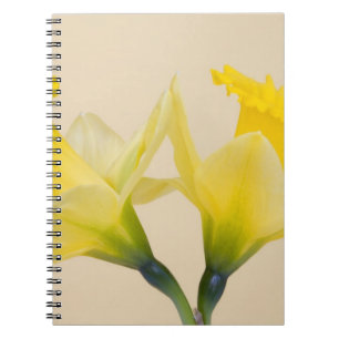 Gula narcisser anteckningsbok med spiral