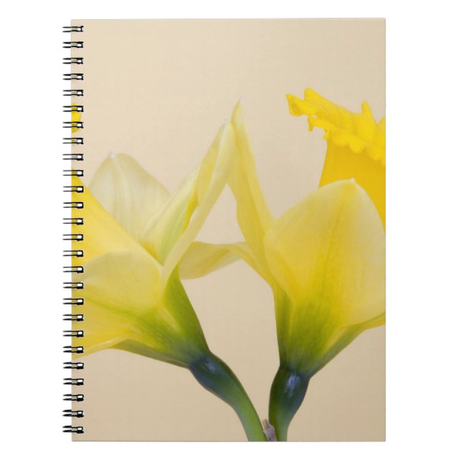 Gula narcisser anteckningsbok med spiral (Framsidan)