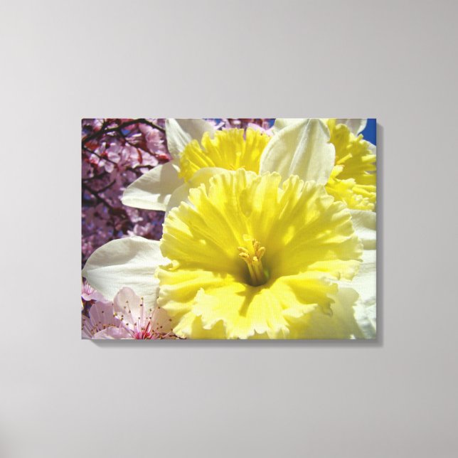 Gula Narcisser Blommor canvas konsttryck (Framsida)