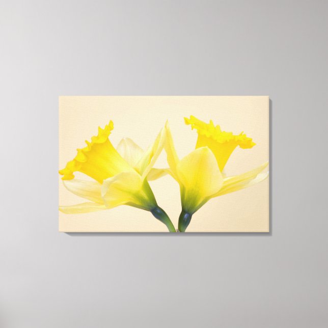 Gula narcisser canvastryck (Framsida)