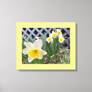 Gula Narcisser Canvastryck