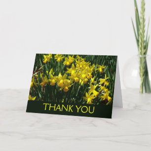 Gula Narcisser Jag Glada Vårblommor Tack Kort