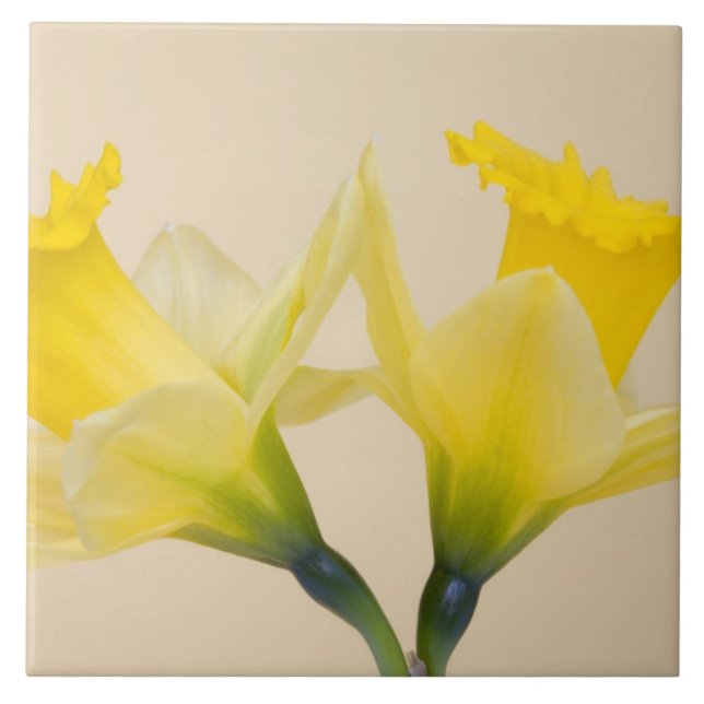 Gula narcisser kakelplatta (Framsidan)