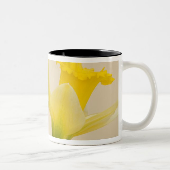 Gula narcisser Två-Tonad mugg (Höger)