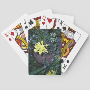 Gula nattblommor Foto Casinokort