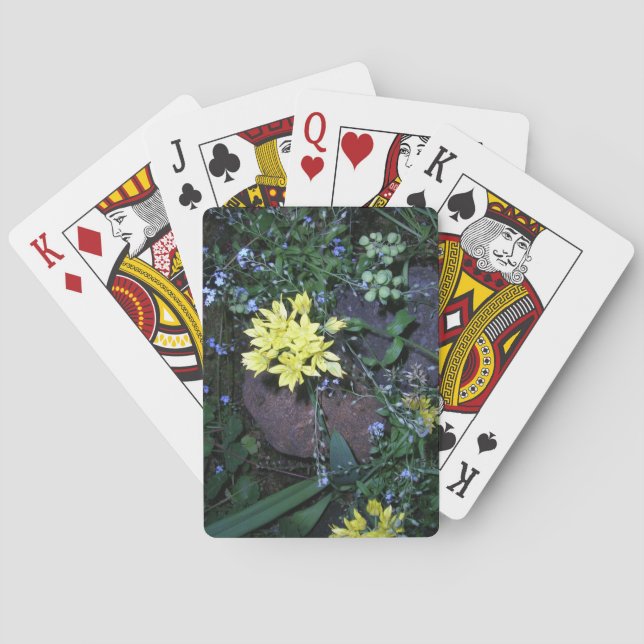 Gula nattblommor Foto Casinokort (Baksidan)