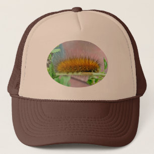 Gula objekt för mal för tiger för björnCaterpillar Keps