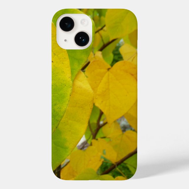 Gula och gröna Cercis blad (Baksida)