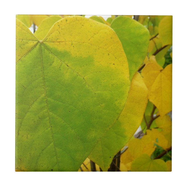 Gula och gröna Cercis blad Kakelplatta (Framsidan)