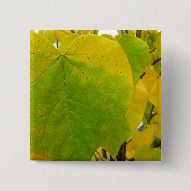 Gula och gröna Cercis blad Knapp (Framsida)
