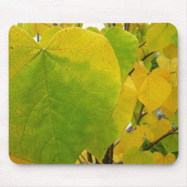 Gula och gröna Cercis blad Musmatta (Framsidan)