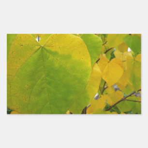 Gula och gröna Cercis blad Rektangulärt Klistermärke