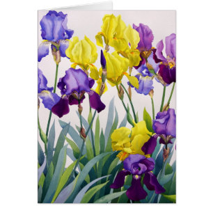 Gula och purpurfärgade Irises Hälsningskort