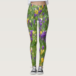 Gula och purpurfärgade krokusar leggings