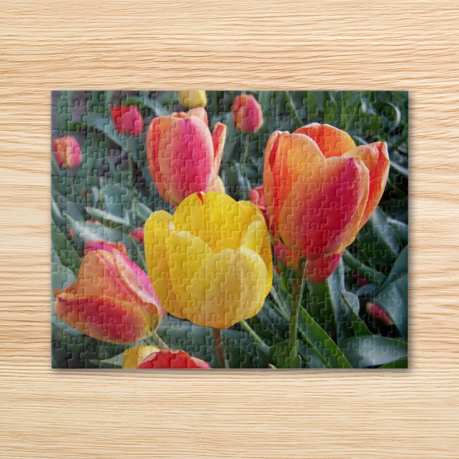 Gula och röda tulpaner Stenberg Fotografi Pussel (Yellow and Red Tulips Rock Garden Photo Jigsaw Puzzle)