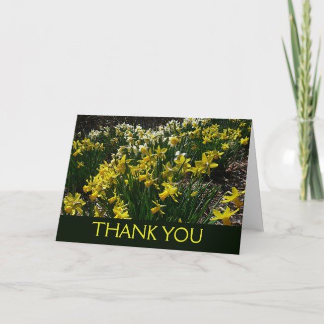 Gula och vita narcisser vårblommor tack kort (Framsida)
