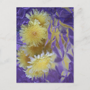 Gula ökenvildblommor vykort