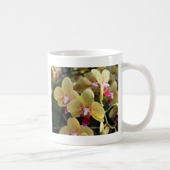 Gula orkidéblommor kaffemugg (Höger)