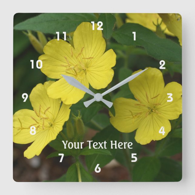 Gula Primula Vårblommor Personliga Fyrkantig Klocka (Framsida)