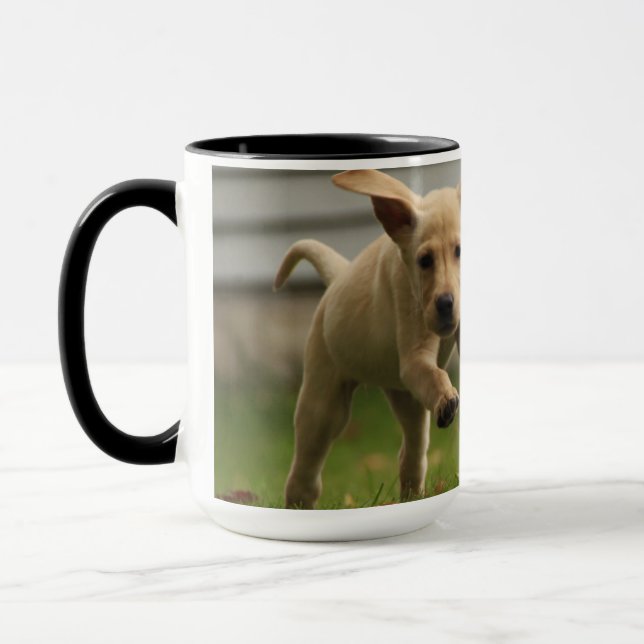 Gula rinnande Labrador valpar Mugg (Vänster)