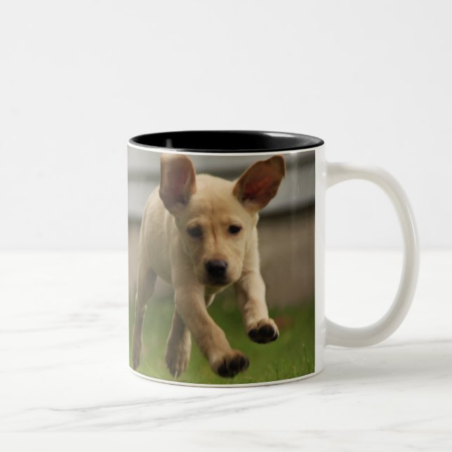 Gula rinnande Labrador valpar Två-Tonad Mugg (Höger)