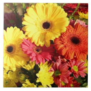 Gula Röda Gerbera Krysantemum Blommor Kakelplatta