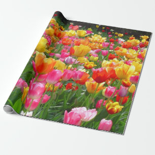 Gula rosa orange röda tulpan presentpapper