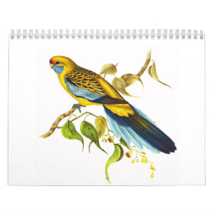 Gula Rosella Kalender
