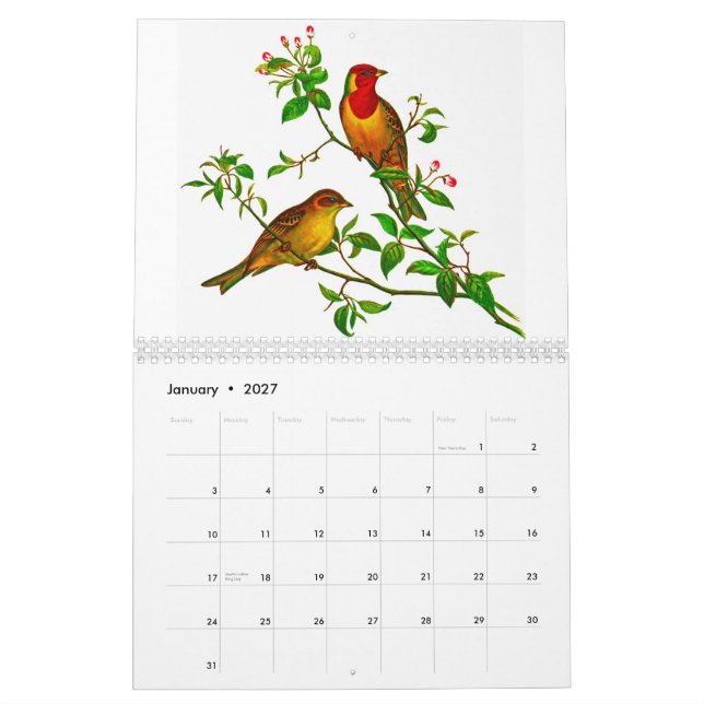 Gula Rosella Kalender (Jan 2027)