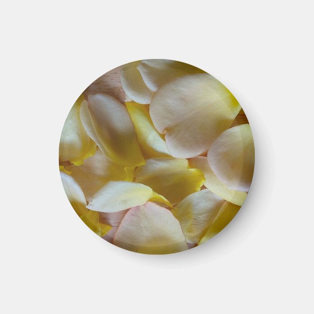 Gula rosenblad magnet (Framsidan)