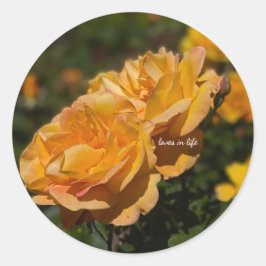 Gula rosor runt klistermärke