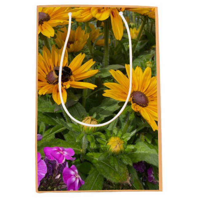 Gula Rudbeckia-blommor Rosa Phlox och Bi (Framsidan)
