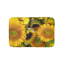 Gula solrosor som är nya från bönderna,