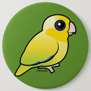Gula Stillahavs- Parrotlet Knapp