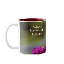 Gula Swallowtail, fjäril