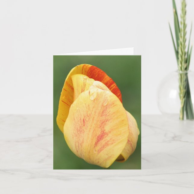 Gula tulipokronblad Blomfotografering  Anteckningskort (Framsida)