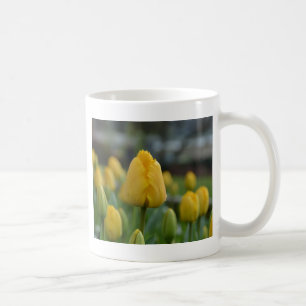 Gula tulpaner i fältet kaffemugg