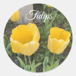 Gula tulpaner Klassisk rund dekalj Runt Klistermärke