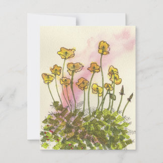 Gula vallmos Vilda blommor Grattiskort