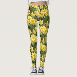 Gula vårpåskliljar leggings<br><div class="desc">Dessa chic damasker presenterar ett älskvärt foto av oavkortad blom för gula vårpåskliljar.  Perfekt tillägg till din vårgarderob! Designat vid berömd konstnär©Tim Coffey för värld.</div>