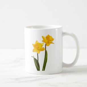 Gula vårpåskliljar på vit kaffemugg