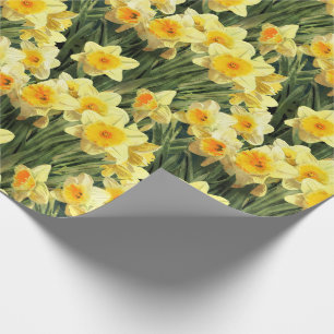 Gula vårpåskliljar presentpapper