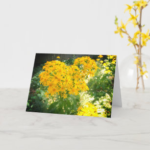 Gula vildblommor kort