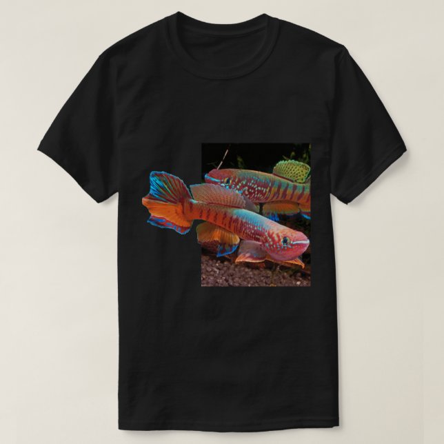 Gularis Killifish på svart utslagsplats T-shirt (Design framsida)