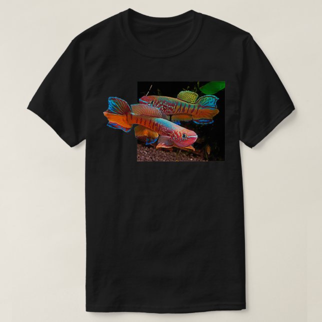 Gularis Killifish T Shirt (Design framsida)