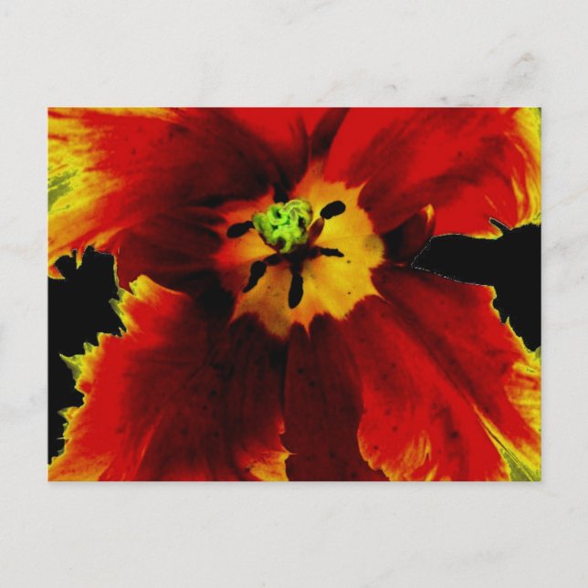 Gulbrun på svart blommönster  vykort (Framsida)