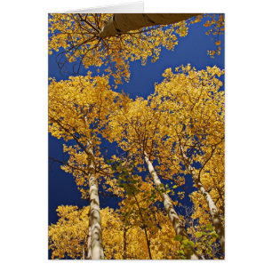 Guld- aspen hälsningskort