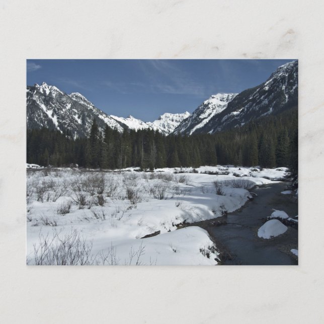 Guld Bäck Vykort (Framsida)